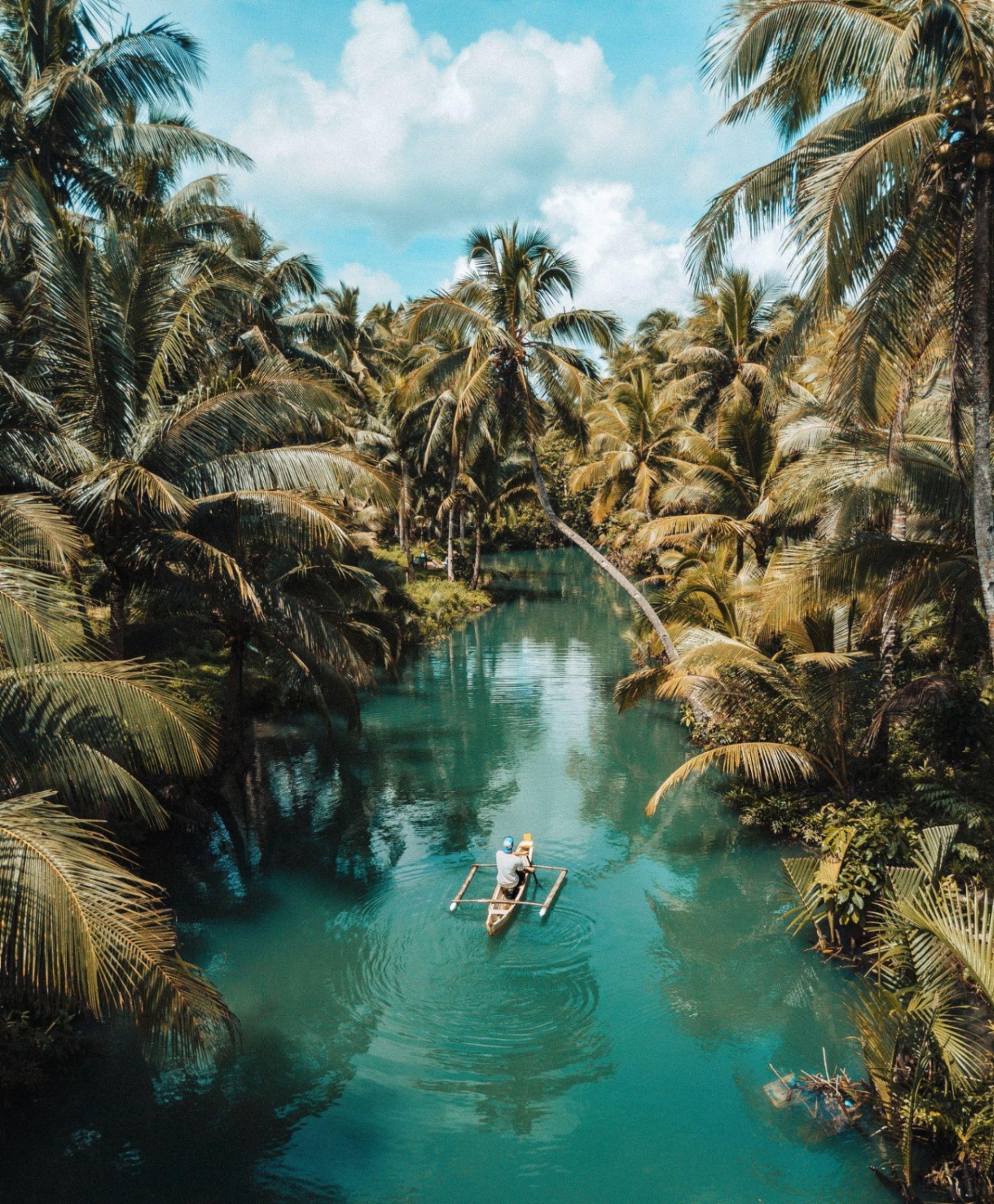 Travellers exploring a tropical river